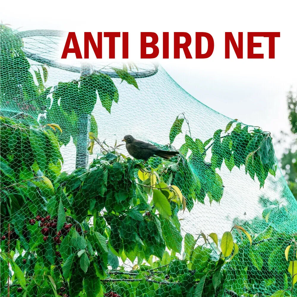 33FT Anti Bird Netting Pond Net Tree Crops Plants Fruits Garden Mesh Protection