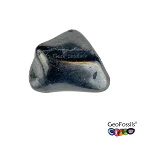 GeoFossils Shungite Tumblestone (20-25mm) Single