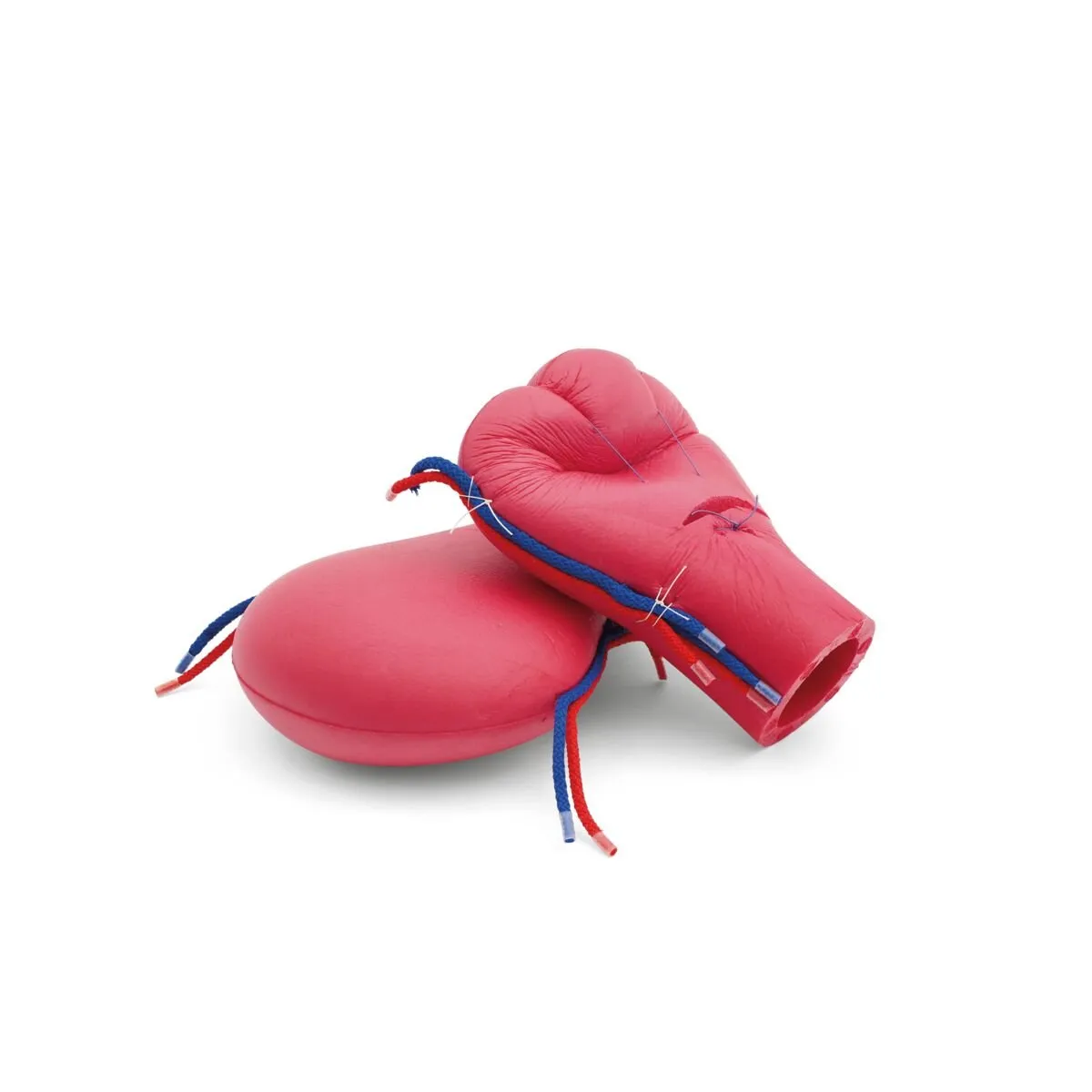 Postpartum Hemorrhage Simulator - PPH Trainer P97 PRO