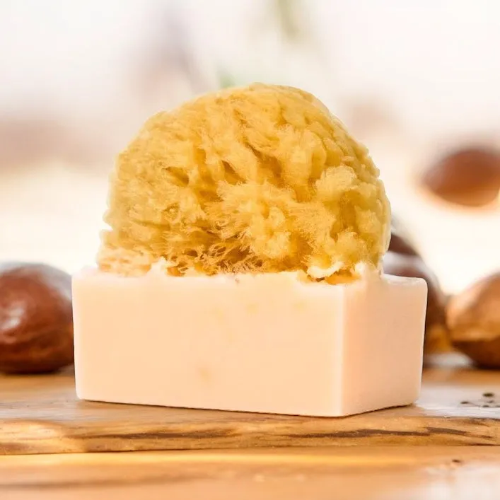 Shea Butter<br>Ultra-moisturizer | Anti-aging
