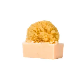 Shea Butter<br>Ultra-moisturizer | Anti-aging